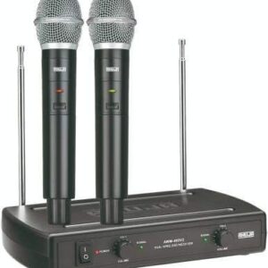 Dual Pa Wireless Microphone