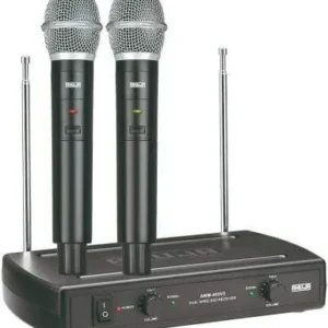 Dual Pa Wireless Microphone