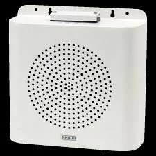 Wall Speaker