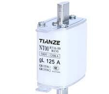 RT16-00 NT00 FUSE 125A - ANDELI