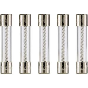 T 5A-250V 2 LEG ROUND FUSE BUSSMANN